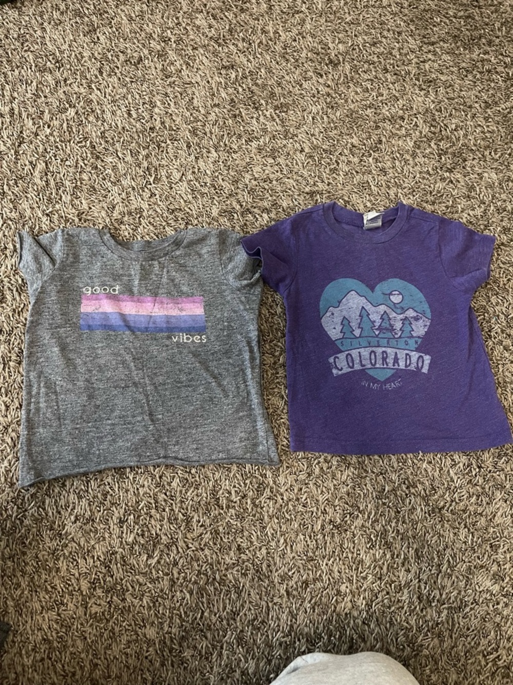 🎀 Purple Colorado Graphic Kids T-Shirt - Unbranded